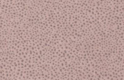 Boxspring krevet CROSS sa spremnikom - 160x200 cm