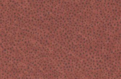 Boxspring krevet CROSS sa spremnikom - 160x200 cm