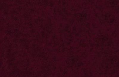 Stolica ZARA pauk noge - 46x50x86 cm