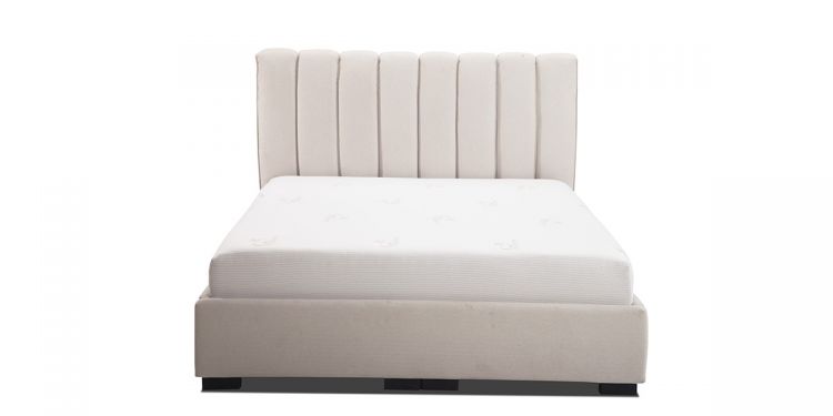 lezaj-chicago2-velika