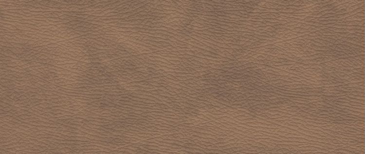 texas_26